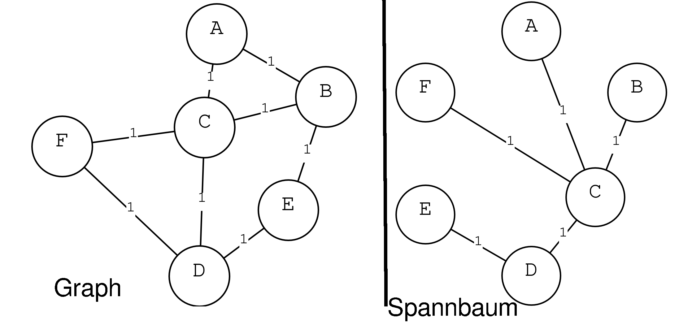 Bild eines Spannbaumes